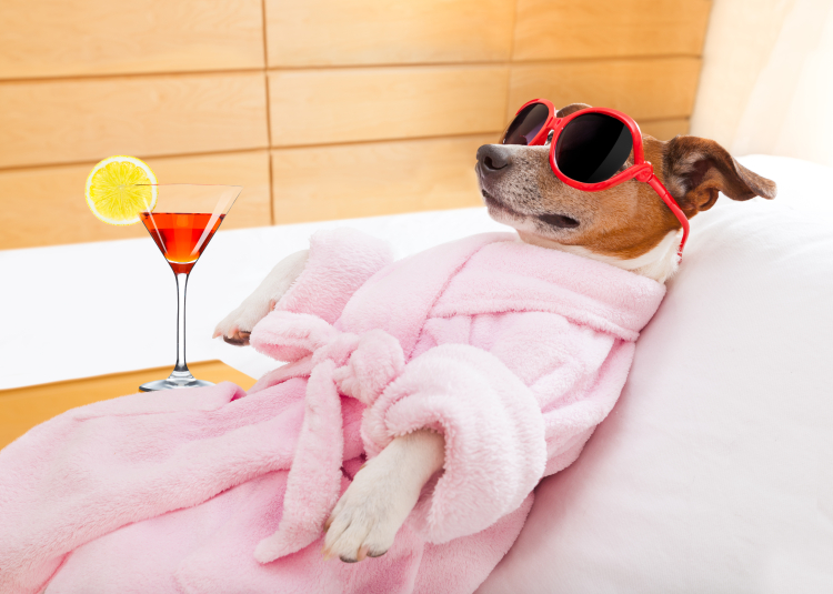 Hangover? Nicht mit uns: 8 Soforthelfer gegen den Kater