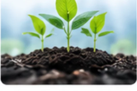 Agrarwissenschaften (Landwirtschaft) studieren