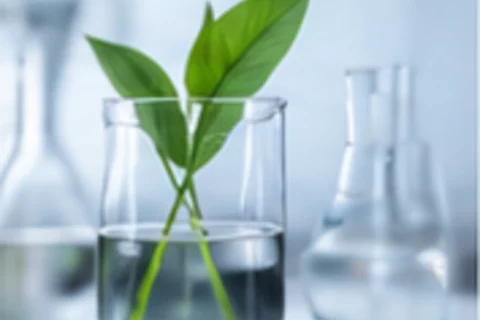 Tiermedizin studieren