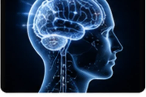 Psychologie studieren