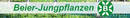 Logo Beier - Jungpflanzen