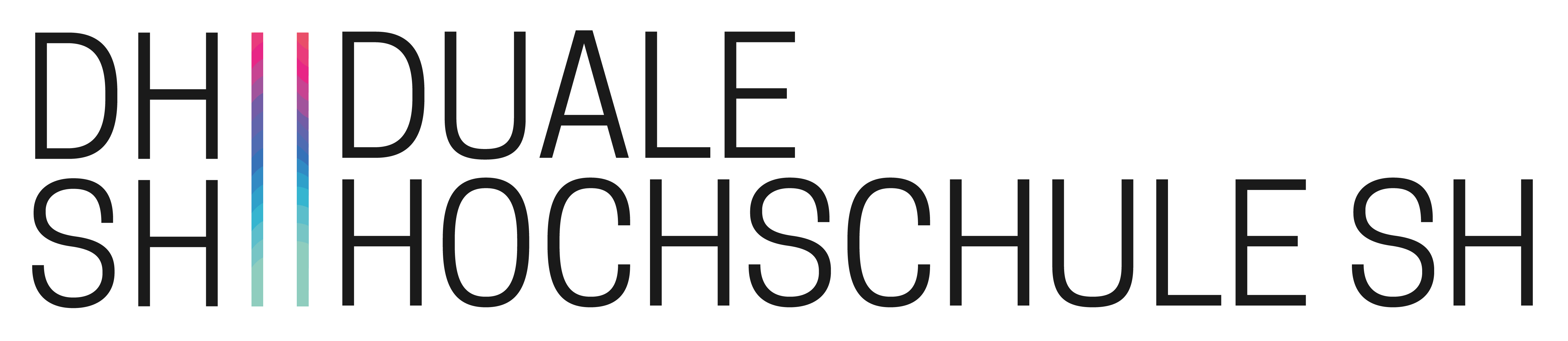 Duale Hochschule Schleswig Holstein Logo