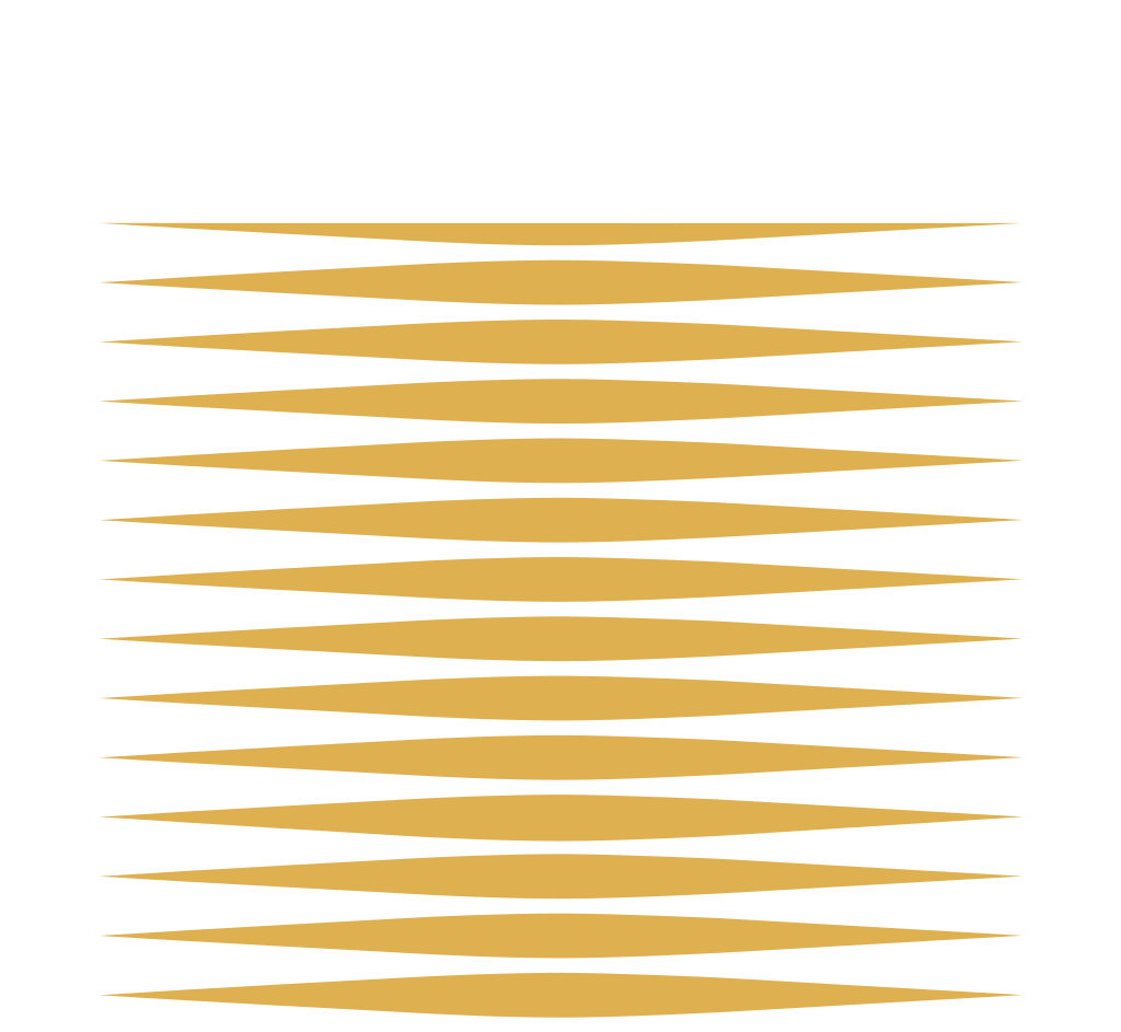 Hochschule für Musik Dresden Logo